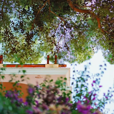 Chiara - Lavi Luxury * קאפרי