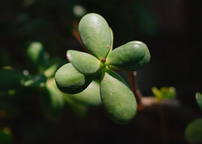 Villa Chiara - Lavi Luxury *